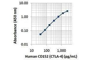 ELISA image for anti-Cytotoxic T-Lymphocyte-Associated Protein 4 (CTLA4) antibody (ABIN2664252) (CTLA4 anticorps)