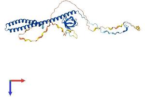 AlphaFold protein structure predicition of Mouse Recombinant Abi3 Protein, UniprotID Q8BYZ1