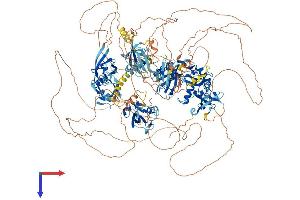 AlphaFold protein structure predicition of Human Recombinant MAGI1 Protein, UniprotID Q96QZ7