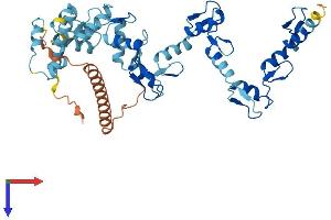 AlphaFold protein structure predicition of Human Recombinant ZNF485 Protein, UniprotID Q8NCK3