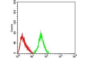 Flow cytometric analysis of SH-SY5Y cells using GRM3 mouse mAb (green) and negative control (red).