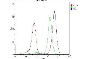 Flow Cytometry analysis of K562 cells using anti-PRX antibody (ABIN5693300). (Periaxin anticorps  (AA 1-91))
