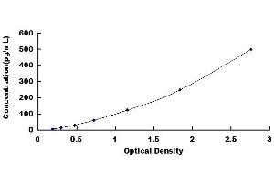Typical standard curve
