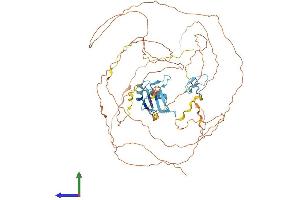 AlphaFold protein structure predicition of Human Recombinant EWSR1 Protein, UniprotID Q01844