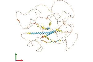 AlphaFold protein structure predicition of Mouse Recombinant Mamld1 Protein, UniprotID P0C6A2