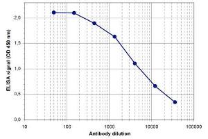 ELISA of anti-Brd2 antibody ELISA results of Rabbit anti-Brd2 antibody.
