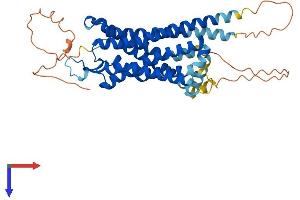 Neurotensin Receptor 1 (High Affinity) (NTSR1) (AA 1-424) protein (His tag)