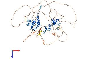 AlphaFold protein structure predicition of Human Recombinant ZBTB33 Protein, UniprotID Q86T24