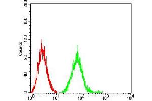 Flow cytometric analysis of SK-N-SH cells using GRIN2B mouse mAb (green) and negative control (red).