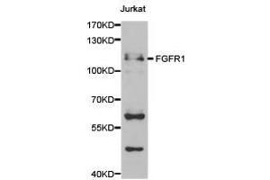 Western Blotting (WB) image for anti-Fibroblast Growth Factor Receptor 1 (FGFR1) antibody (ABIN1872687) (FGFR1 anticorps)