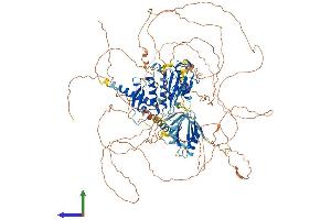 AlphaFold protein structure predicition of Human Recombinant SENP6 Protein, UniprotID Q9GZR1