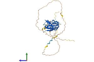 AlphaFold protein structure predicition of Human Recombinant TOB1 Protein, UniprotID P50616