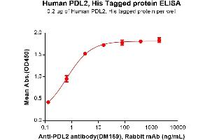 ELISA plate pre-coated by 2 μg/mL (100 μL/well) Human Protein, His Tag (ABIN6964115, ABIN7042485 and ABIN7042486) can bind Anti- antibody(DM169), Rabbit mAb in a linear range of 0.