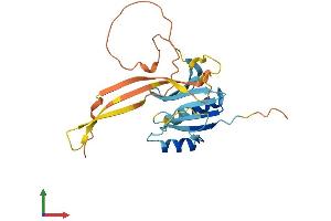 AlphaFold protein structure predicition of Mouse Recombinant Oaz3 Protein, UniprotID Q9R109