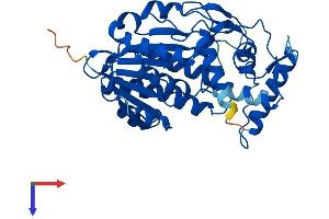 AlphaFold protein structure predicition of Human Recombinant HSD3B7 Protein, UniprotID Q9H2F3