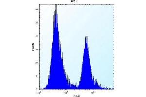 Flow cytometric analysis of U251 cells using PEG10 Antibody (N-term) Cat.