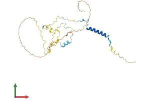 AlphaFold protein structure predicition of Mouse Recombinant Spats1 Protein, UniprotID A2RRY8