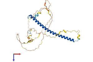 AlphaFold protein structure predicition of Mouse Recombinant Cebpb Protein, UniprotID P28033