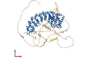 AlphaFold protein structure predicition of Human Recombinant PPP6R1 Protein, UniprotID Q9UPN7