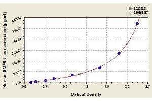Typical standard curve (BMPR2 Kit ELISA)