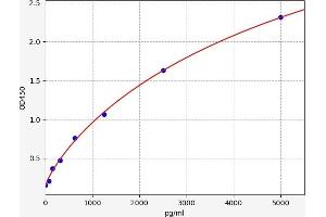 Typical standard curve (PADI2 Kit ELISA)