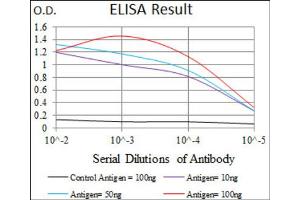 Red: Control Antigen (100ng) ; Purple: Antigen (10ng) ; Green: Antigen (50ng) ; Blue: Antigen (100ng). (Chromogranin A anticorps  (AA 87-252))