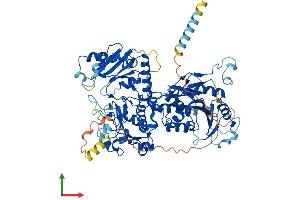 AlphaFold protein structure predicition of Human Recombinant EXT1 Protein, UniprotID Q16394
