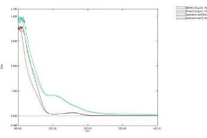 Image no. 1 for Testosterone protein (BSA) (ABIN1880112) (Testosterone Protein (BSA))