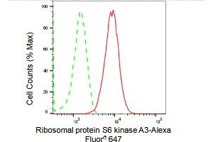 Flow cytometric analysis of Ribosomal protein S6 kinase A3 expression in HepG2 cells using Ribosomal protein S6 kinase A3 antibody (ABIN7800233), 1:2,000).