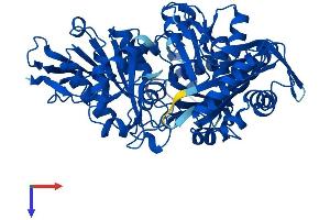 AlphaFold protein structure predicition of Mouse Recombinant Pgm1 Protein, UniprotID Q9D0F9