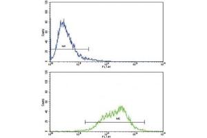Flow cytometric analysis of CEM cells using LIF antibody (green) compared to a negative control (blue).