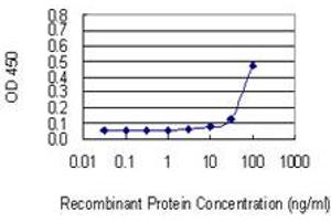 Detection limit for recombinant GST tagged FLRT1 is 10 ng/ml as a capture antibody. (FLRT1 anticorps  (AA 1-674))