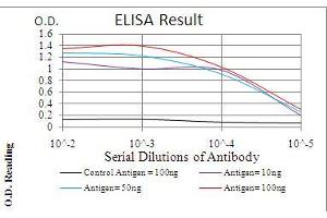 Black line: Control Antigen (100 ng), Purple line: Antigen(10 ng), Blue line: Antigen (50 ng), Red line: Antigen (100 ng),