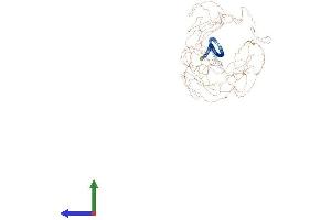 AlphaFold protein structure predicition of Mouse Recombinant Mtus2 Protein, UniprotID Q3UHD3