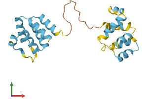 AlphaFold protein structure predicition of Human Recombinant PYCARD Protein, UniprotID Q9ULZ3