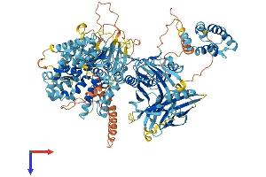 AlphaFold protein structure predicition of Mouse Recombinant Nlrp1b Protein, UniprotID A1Z198