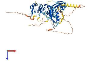 AlphaFold protein structure predicition of Mouse Recombinant Rbm45 Protein, UniprotID Q8BHN5