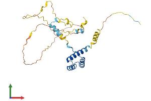 AlphaFold protein structure predicition of Human Recombinant GSC Protein, UniprotID P56915