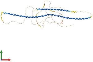 AlphaFold protein structure predicition of Human Recombinant LZTS2 Protein, UniprotID Q9BRK4