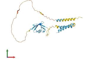 AlphaFold protein structure predicition of Mouse Recombinant Tmub1 Protein, UniprotID Q9JMG3