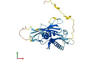AlphaFold protein structure predicition of Human Recombinant EXOSC6 Protein, UniprotID Q5RKV6
