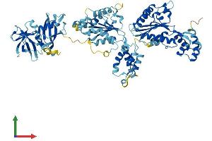 AlphaFold protein structure predicition of Human Recombinant NSF Protein, UniprotID P46459