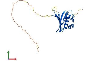 AlphaFold protein structure predicition of Mouse Recombinant Oaz2 Protein, UniprotID O08608