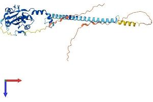 AlphaFold protein structure predicition of Mouse Recombinant Pcyt1b Protein, UniprotID Q811Q9