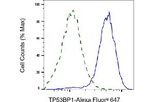 Flow cytometric analysis of TP53BP1 expression in HAP-1 cells using TP53BP1 antibody (ABIN7800690), 1:2,000). (TP53BP1 anticorps)