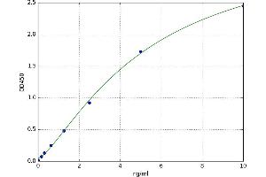 Podocalyxin-Like (PODXL) ELISA Kit