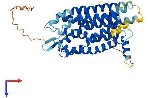 AlphaFold protein structure predicition of Human Recombinant CYSLTR2 Protein, UniprotID Q9NS75