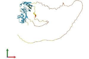 AlphaFold protein structure predicition of Mouse Recombinant Srsf5 Protein, UniprotID O35326