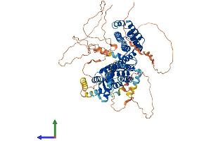 AlphaFold protein structure predicition of Human Recombinant RFX2 Protein, UniprotID P48378