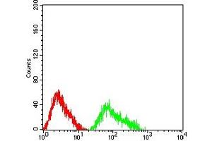Flow cytometric analysis of HL-60 cells using CD307C mouse mAb (green) and negative control (red).